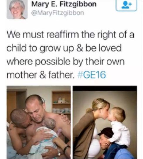 politička Mary Fitzgibbon proti homosexuálům
