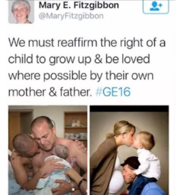 Tweet irské političky ke své anti-gay kampani.
