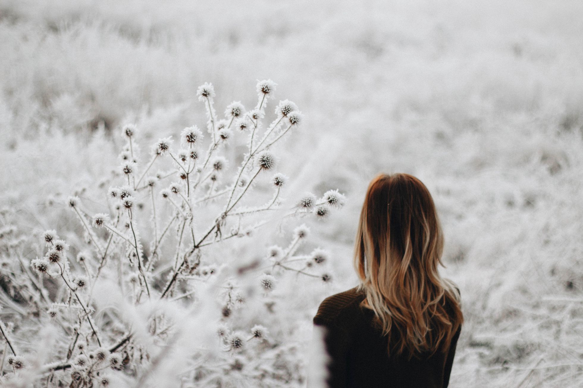 Kateřina Krausová tvorba