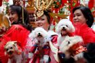 Svět oslavil nový lunární rok. Asijské národy se rozloučily s kohoutem a přivítaly psa