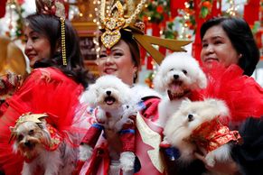 Svět oslavil nový lunární rok. Asijské národy se rozloučily s kohoutem a přivítaly psa