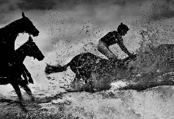 Český fotoreportér ČTK Roman Vondrouš získal v prestižní mezinárodní soutěži World Press Photo první cenu v kategorii Sportovní akce. Uspěl se sérií snímků z Velké pardubické. Roman Vondrouš (Česká republika); vítěz 1. místa v kategorii „Sport Action Stories“