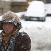 Sníh je všude: Na pláži, na růžích, zasypal i Einsteina