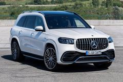 SUV: Podle ekologů jsou absurdní. Přesto jejich prodej v Německu trhá rekordy
