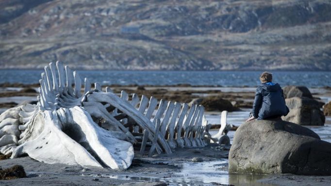 Andrej Zvjagincev soutěží s filmem Leviathan.