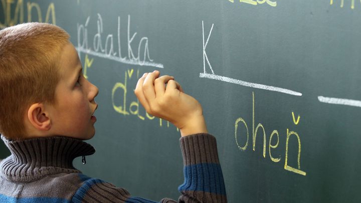 Přechodníky ve výuce zachovejme, ale vypusťme literární teorii, říká mluvčí češtinářů