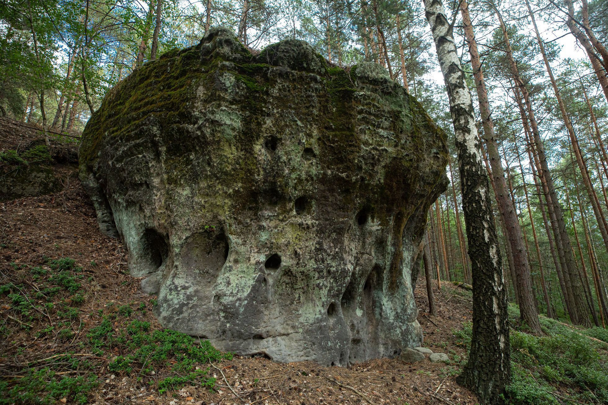 Kokořínsko, Rovenské skály, trampové, tramping, CHKO, příroda, les, planeta, strom, životní prostředí