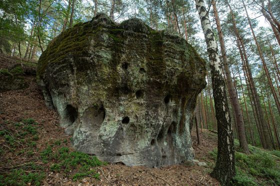 Pískovcová skála typická pro rokle na Kokořínsku.
