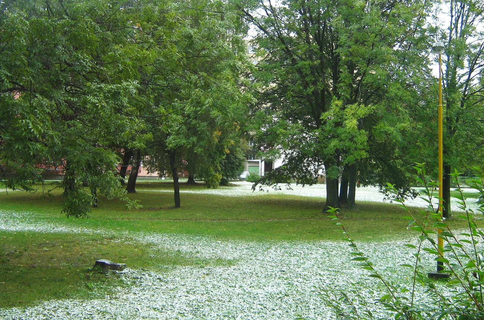 havířov