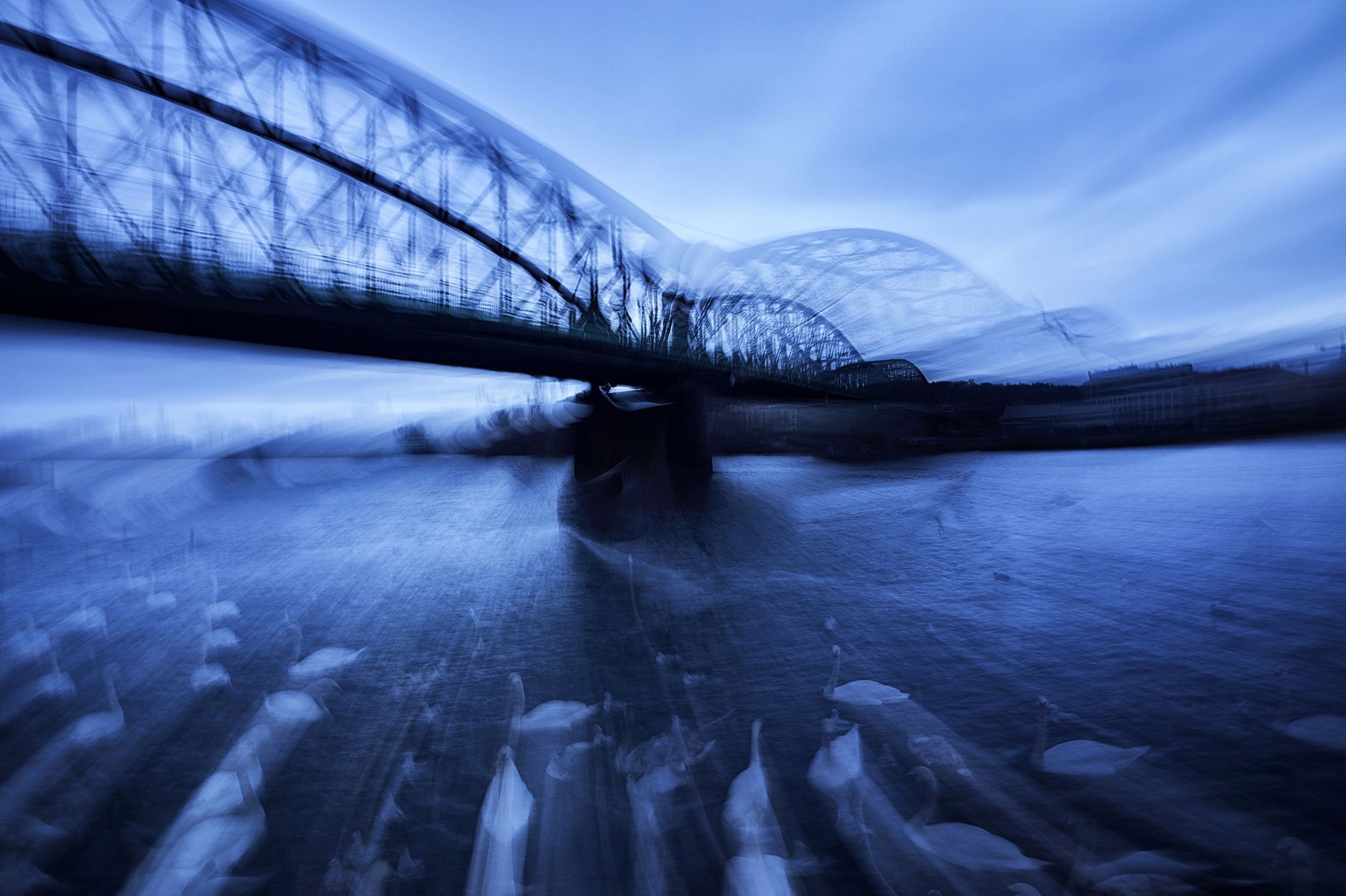 Czech Nature Photo 2023 - nominace