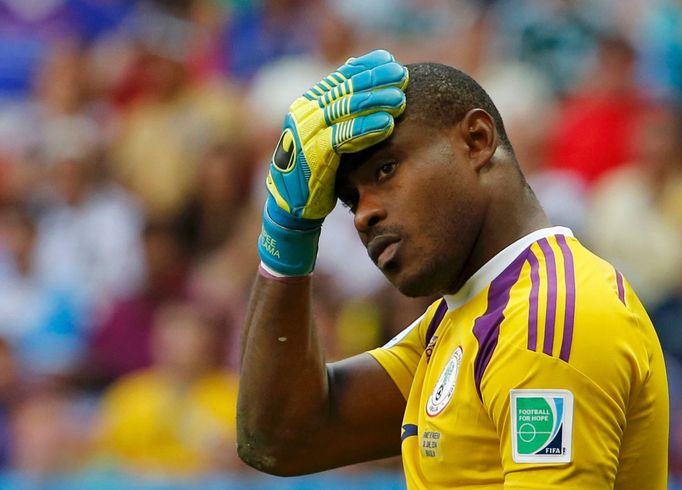 MS 2014, Francie-Nigérie: Vincent Enyeama