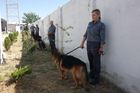 Horská trasa pašeráků: Tudy do Evropy proudí drogy, v Gruzii pomáhají i čeští psi