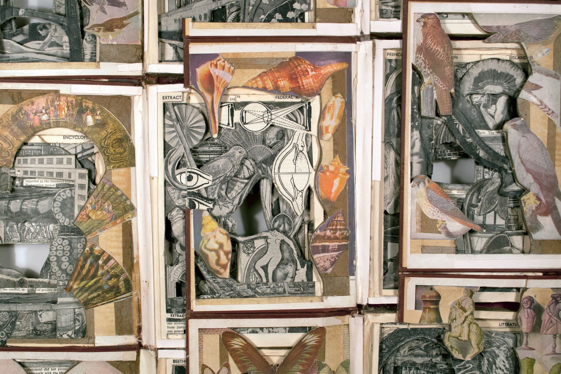 DOX, Fall, festival, 2023