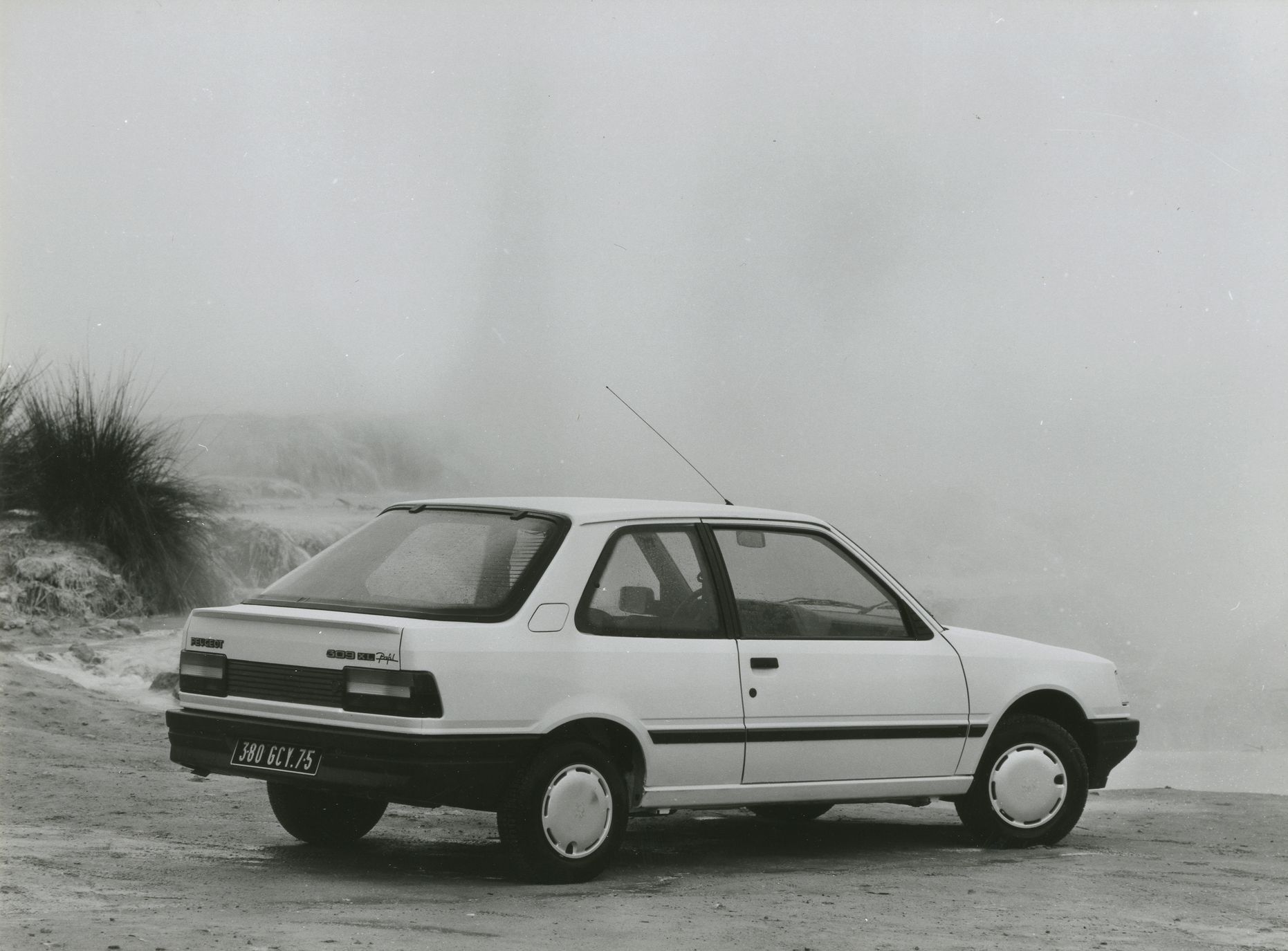 Peugeot 309
