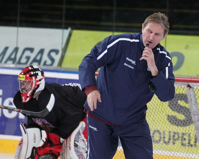 Česká hokejová reprezentace (Karjala Cup 2013) - Alois Hadamczik