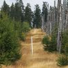 Národní park Šumava 24.9. 2015 - Tk o kůrovci