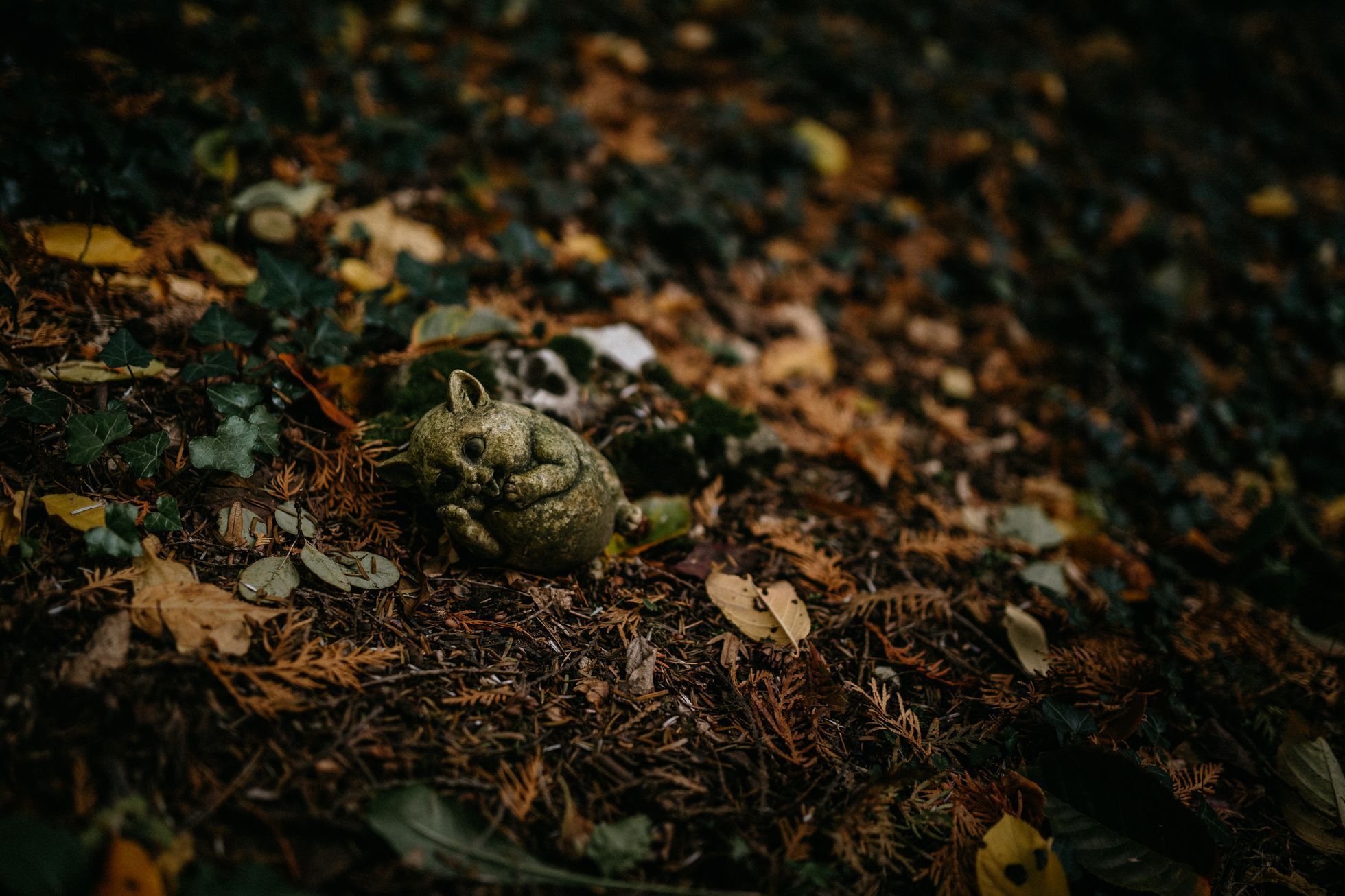 hřbitov Bohnice hřbitov bláznů