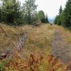 Národní park Šumava 24.9. 2015 - Tk o kůrovci