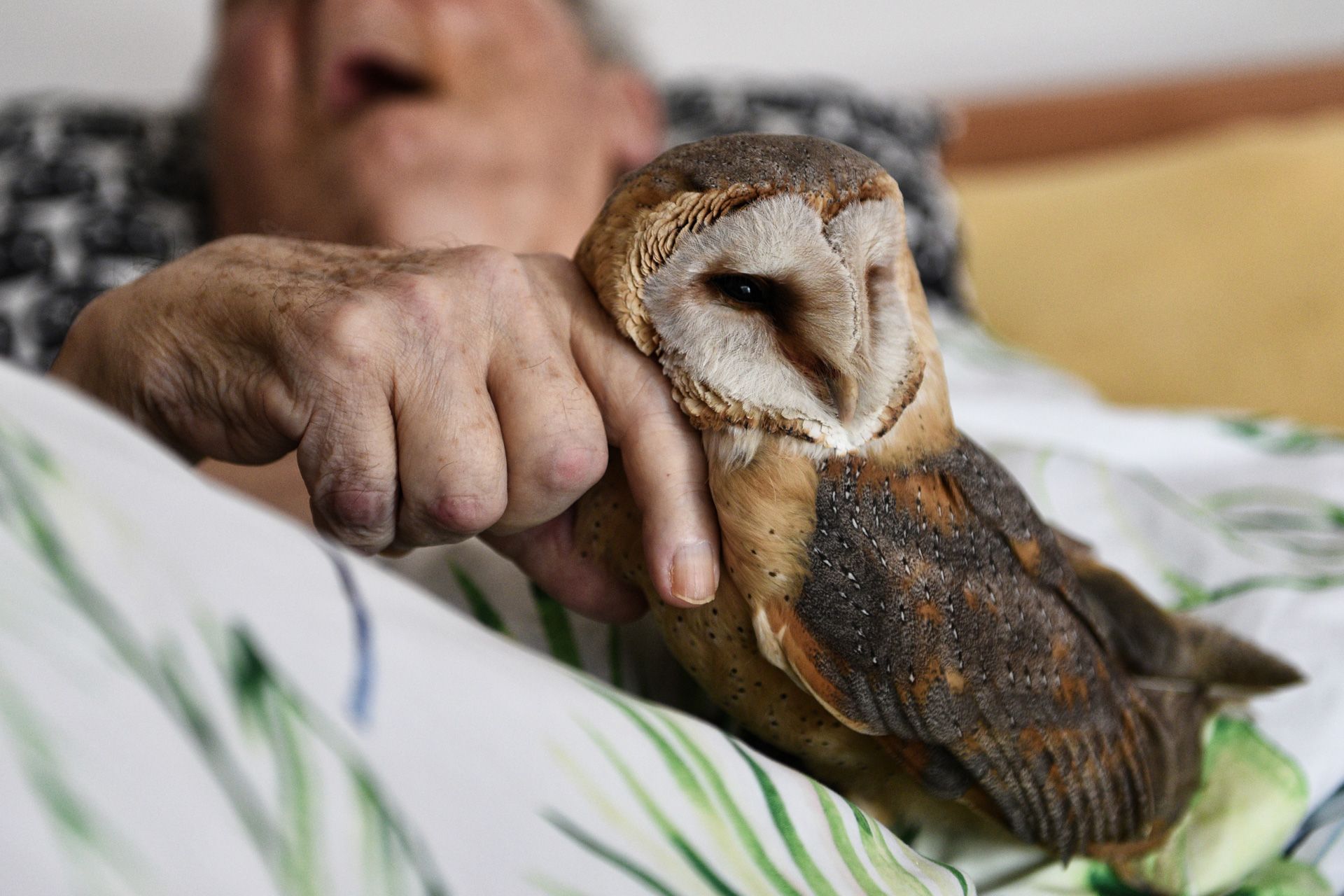 Nominace na Czech Nature Photo 2024