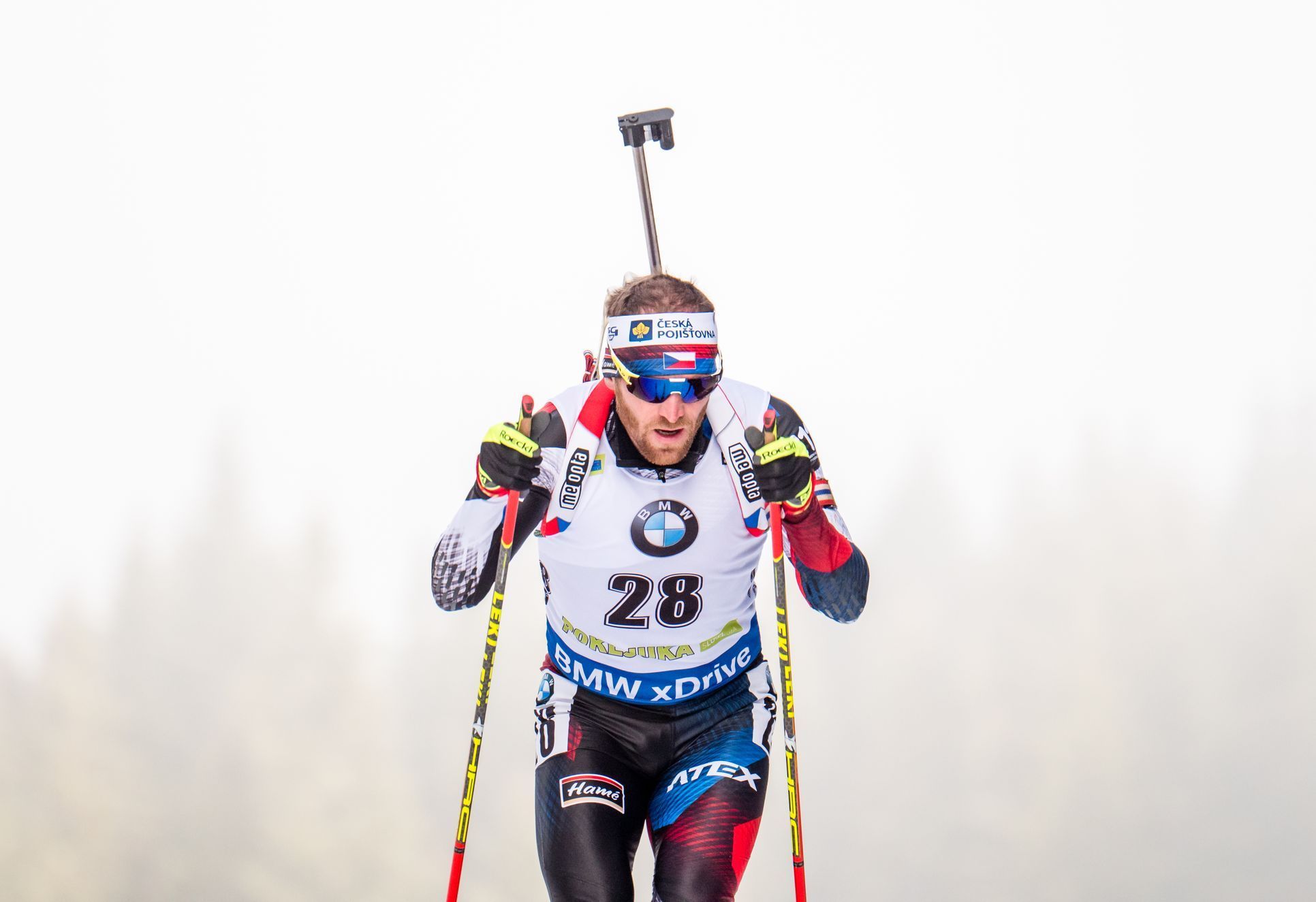 biatlon, SP 2018/2019, Pokljuka, vytrvalostní závod mužů, Michal Šlesingr