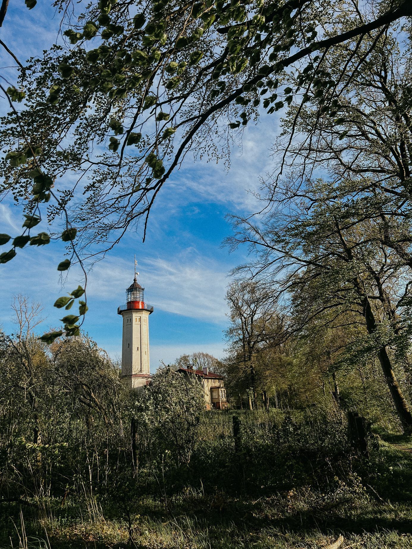 polsko balt hrad malbork pes moře