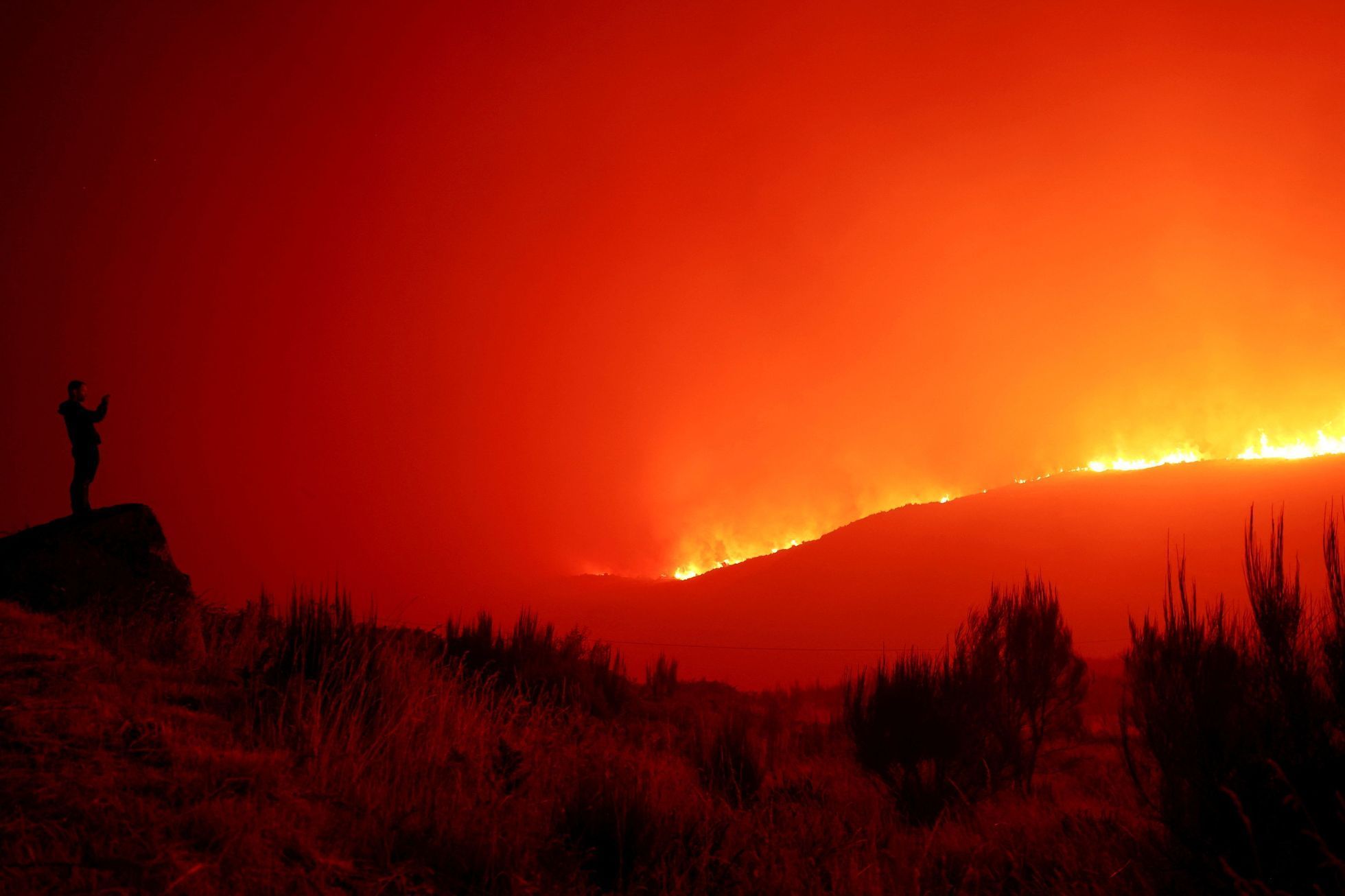 Nejlepší fotky Reuters za rok 2024, foto, Reuters, Zahraničí