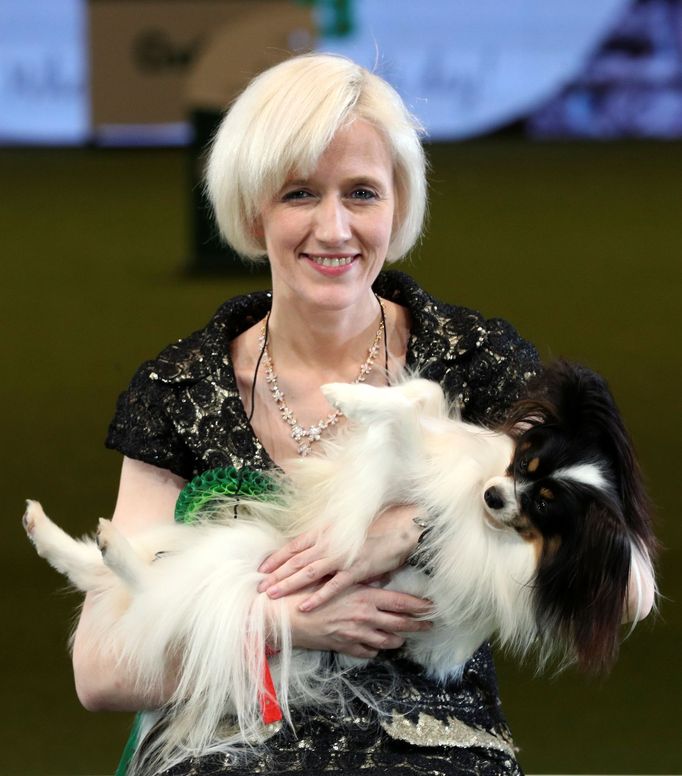 Crufts Dog Show (Birmingham)