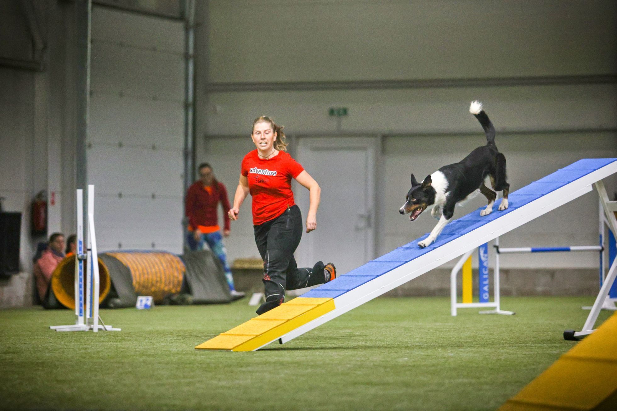 petra vyplelova, zena