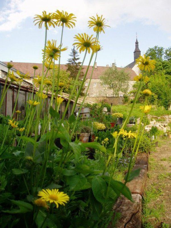Víkend otevřených zahrad 9. &#8211; 10.6. 2012 - Trvalková školka Florianus