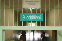 Vězeň v Česku pracoval za 4,5 tisíce. U OSN neuspěl