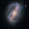 Galaxie NGC 6217 v souhvězdí Malého vozu