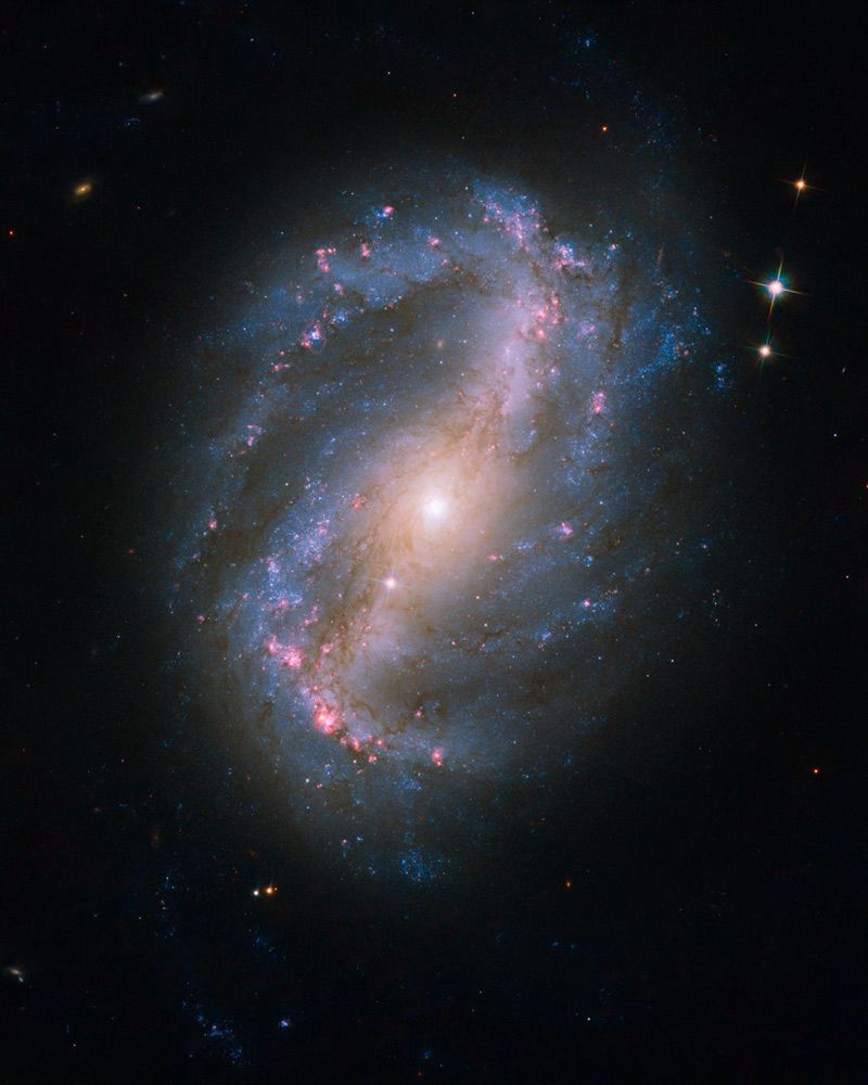 Galaxie NGC 6217 v souhvězdí Malého vozu