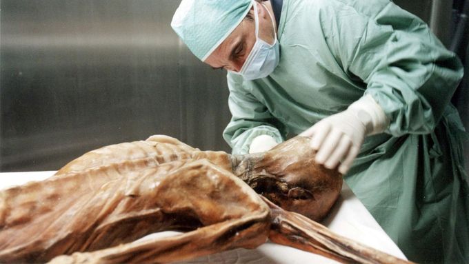 Pravěký muž Ötzi v Archeologickém muzeu v italském Bolzanu.