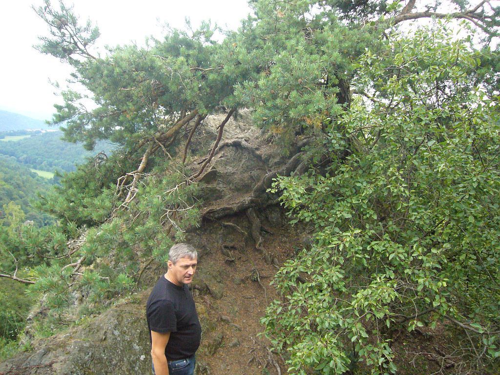 Křivoklátsko