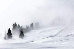 Tvrdý úder zimy v Česku. Předpověď říká, kde nasněží a kde budou nebezpečné silnice