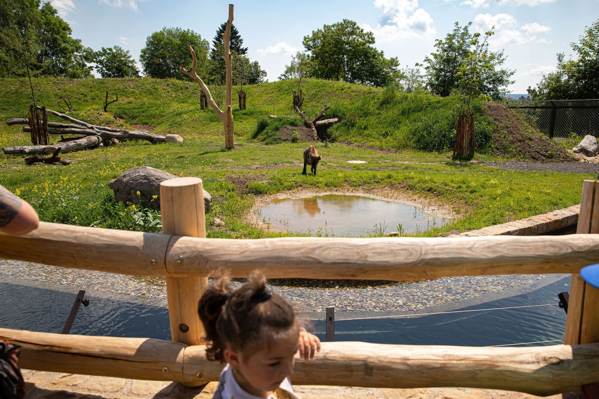 Zoo Dvůr Králové otevřela expozici o jihozápadní Africe zvanou West Cape