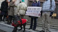 Strana zelených svolala demonstraci proti solení chodníků.