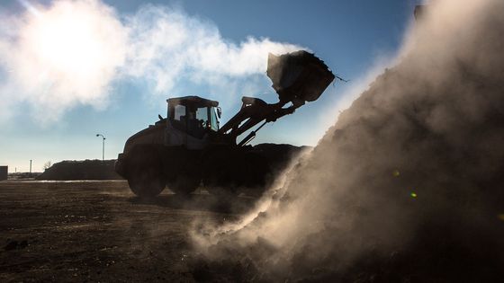 Foto: Města se zelenají odhozenými stromky. Podívali jsme se, co se s nimi děje poté