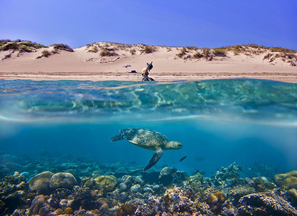 Fotogalerie: Sony World Photography Awards 2013 - Shortlist highlights - Open / Ne pro články!!!