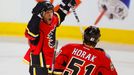 Hokej, NHL: Steve Begin a Roman Horák (Calgary)