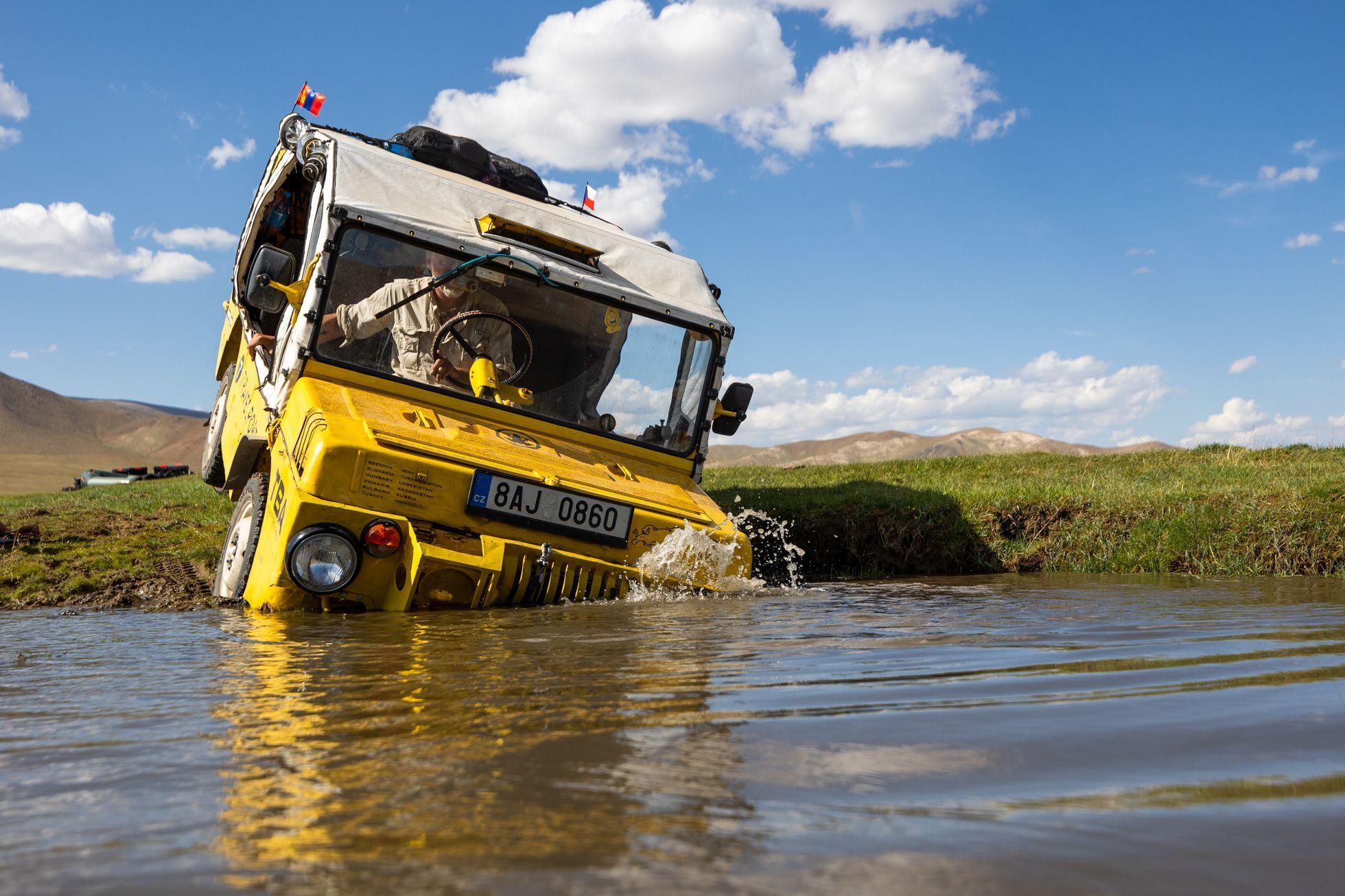 Žlutá žába pluje