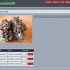Dark web GEN