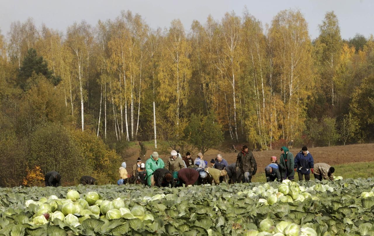 Foto: Krize a barterový obchod
