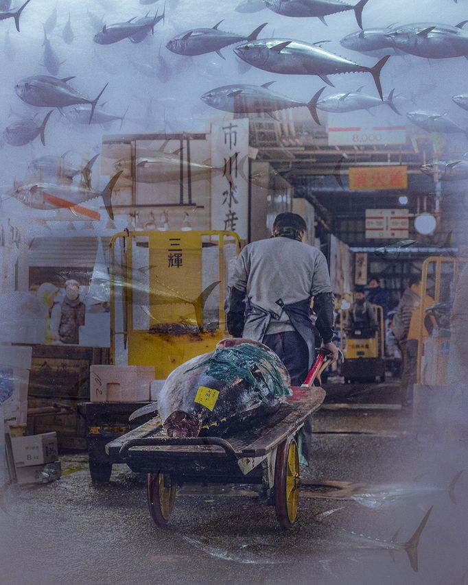 Vítězné fotografie ze soutěže Underwater Photographer of the Year 2023