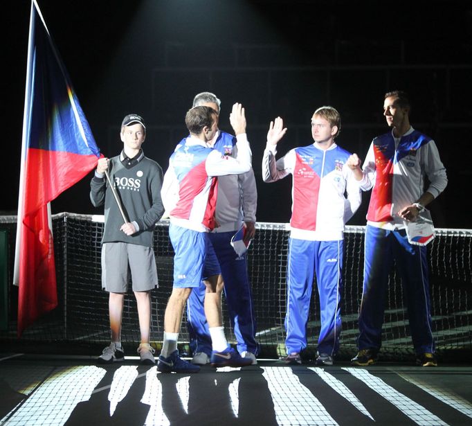 Finále Davis Cupu, zápas Radek Štěpánek - David Ferrer