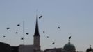 Bees fly beyond Vienna's skyline, July 11, 2012. A growing number of urban beekeepers' associations, such as Vienna's Stadtimker, are trying to encourage bees to make their homes in cities, as pesticides and crop monocultures make the countryside increasingly hostile. Bee populations are in sharp decline around the world, under attack from a poorly understood phenomonenon known as colony collapse disorder, whose main causes are believed to include a virus spread by mites that feed on haemolymph - bees' "blood". Picture taken July 11, 2012. REUTERS/Lisi Niesner (AUSTRIA - Tags: ENVIRONMENT ANIMALS) Published: Čec. 25, 2012, 3:34 odp.