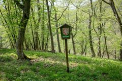 Spor o národní park: Svazy obcí a lesů zásadně nesouhlasí s ministerstvem