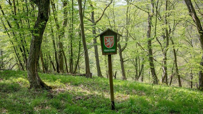 Podle návrhu má zamýšlený Národní park Křivoklátsko zabírat 116 kilometrů čtverečních, tedy 16 procent současné chráněné krajinné oblasti.