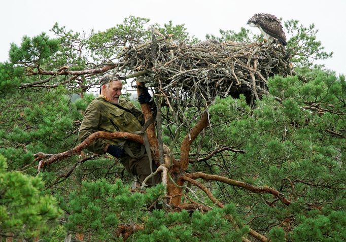 Podívejte se na nejkrásnější fotografie zvířat za rok 2020