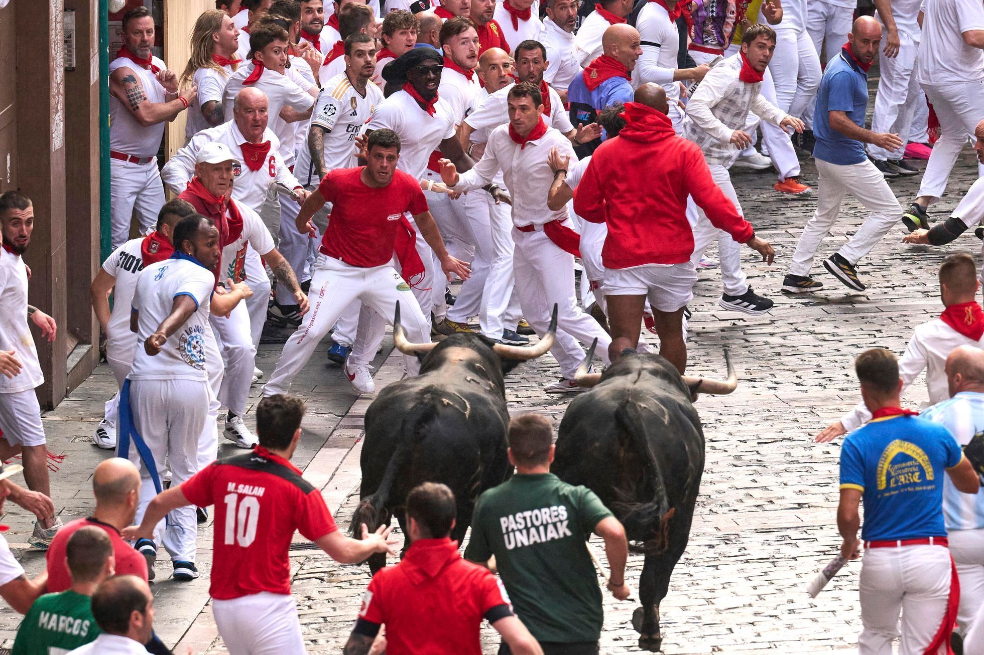 Španělsko, Pamplona, San Fermin, bejci